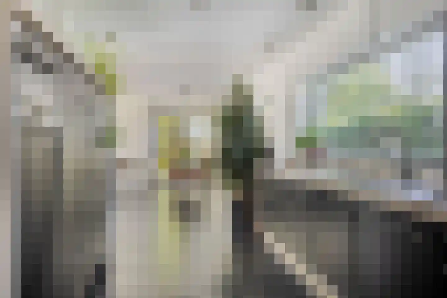Langpaed 29 Siegerswoude thumbnail 14