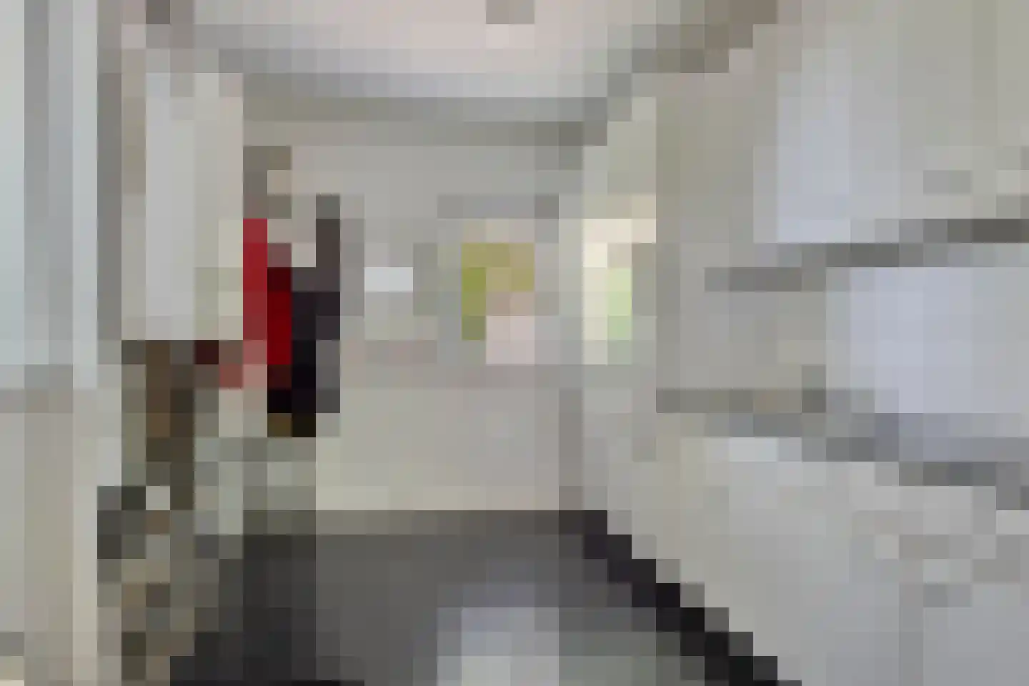 Langpaed 29 Siegerswoude thumbnail 15
