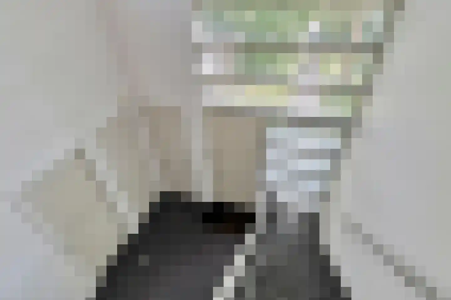 Langpaed 29 Siegerswoude thumbnail 20