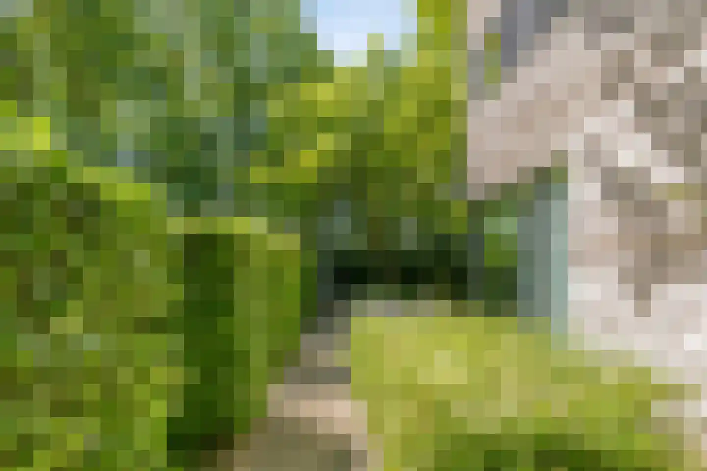 Langpaed 29 Siegerswoude thumbnail 30