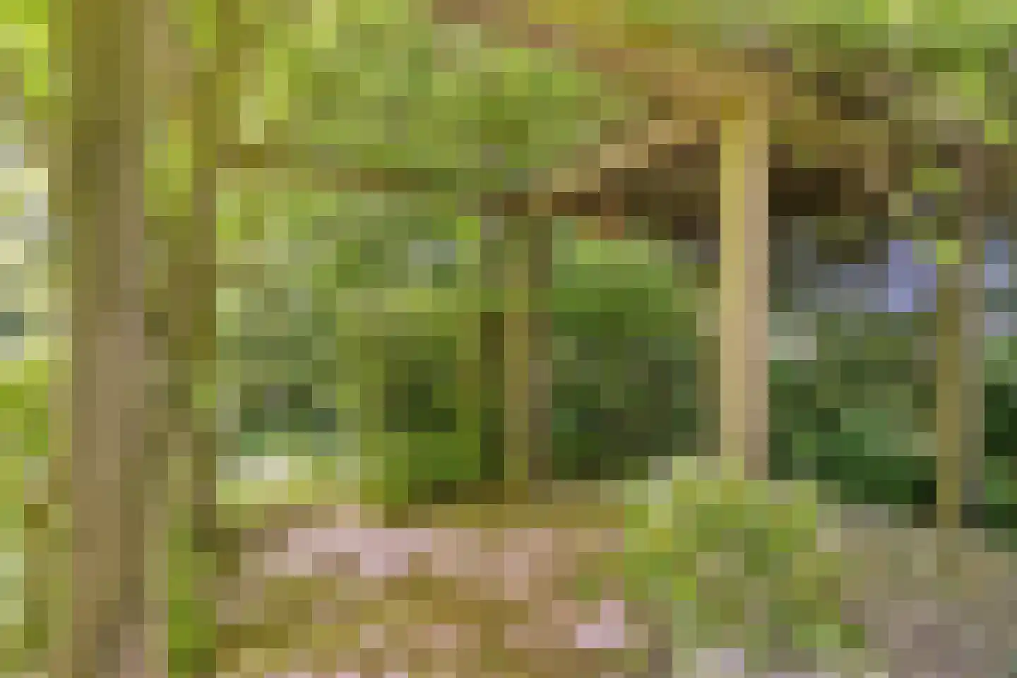 Langpaed 29 Siegerswoude thumbnail 34