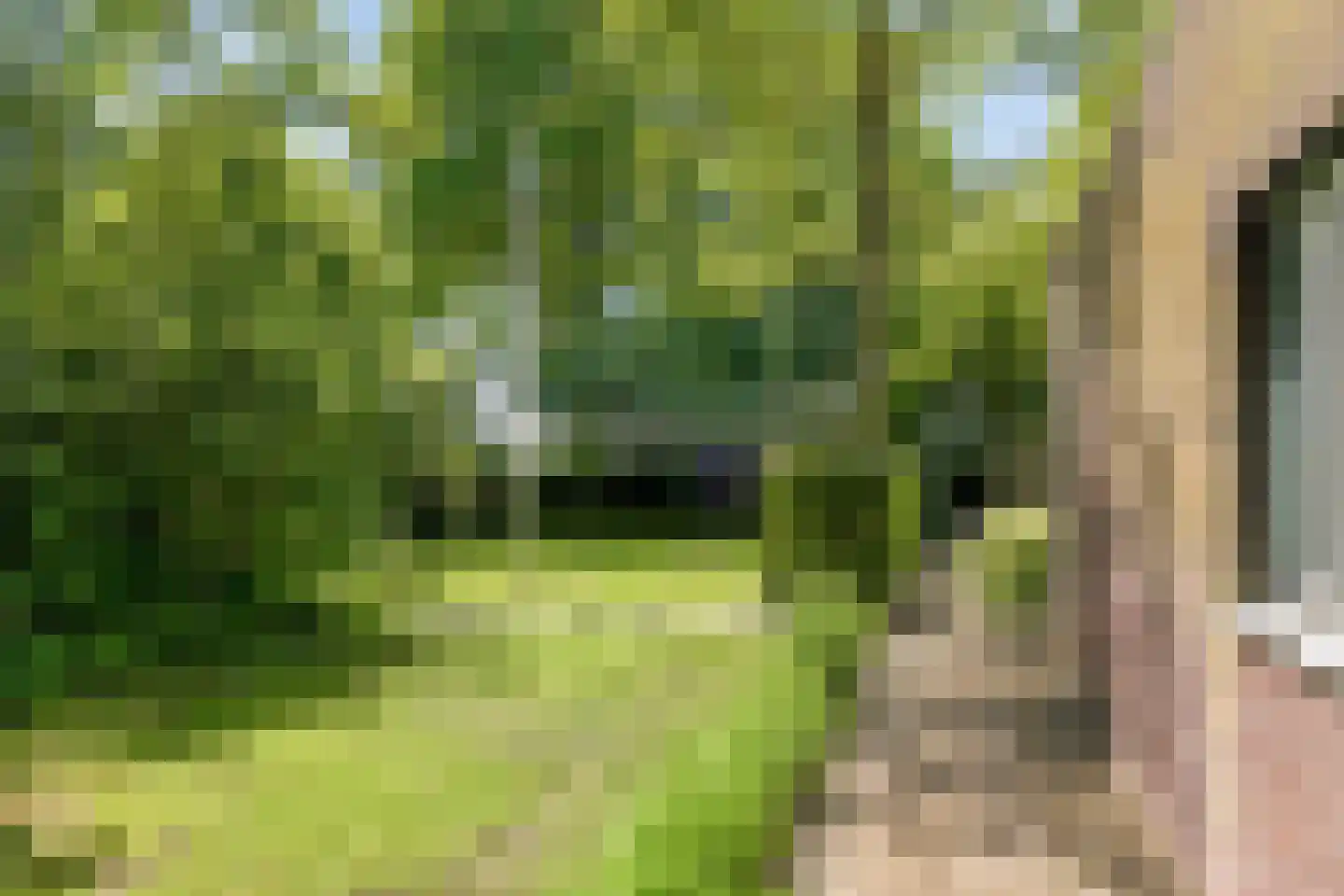 Langpaed 29 Siegerswoude thumbnail 37