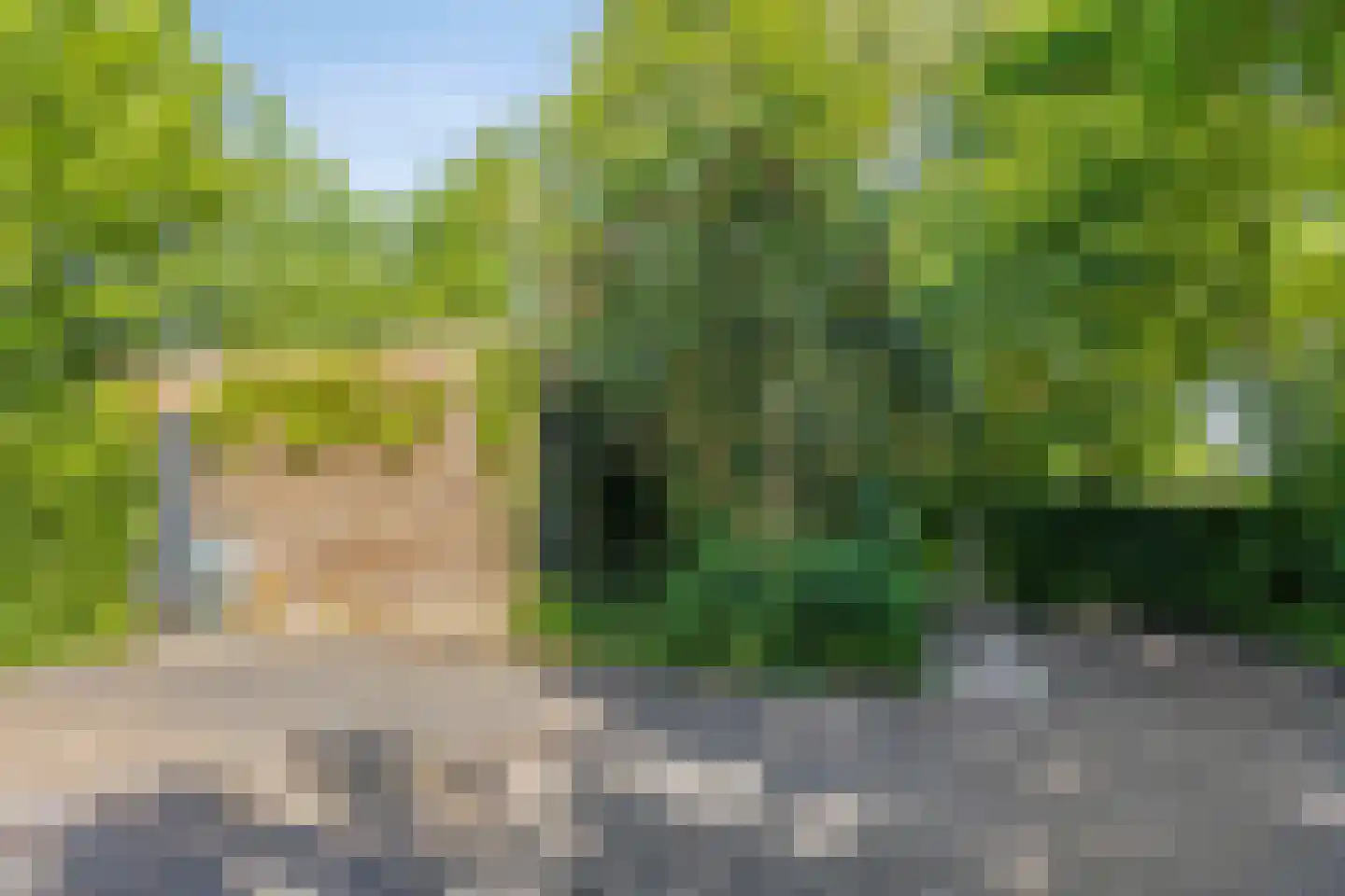 Langpaed 29 Siegerswoude thumbnail 38