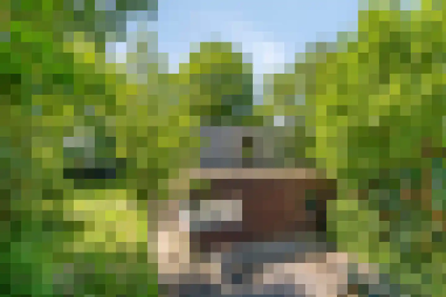 Langpaed 29 Siegerswoude thumbnail 40