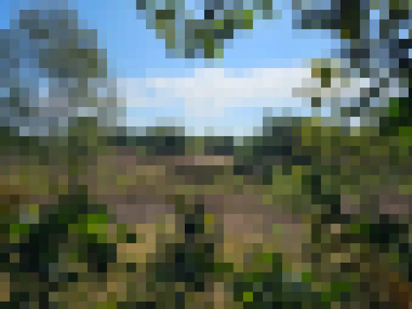 Langpaed 29 Siegerswoude thumbnail 43