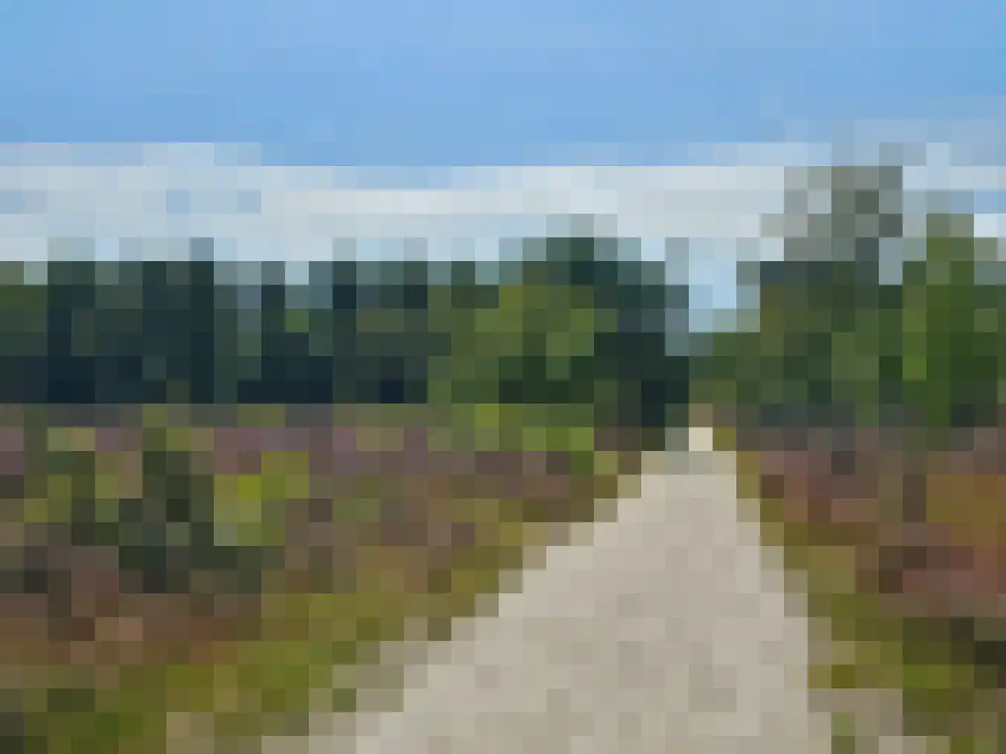 Langpaed 29 Siegerswoude thumbnail 44