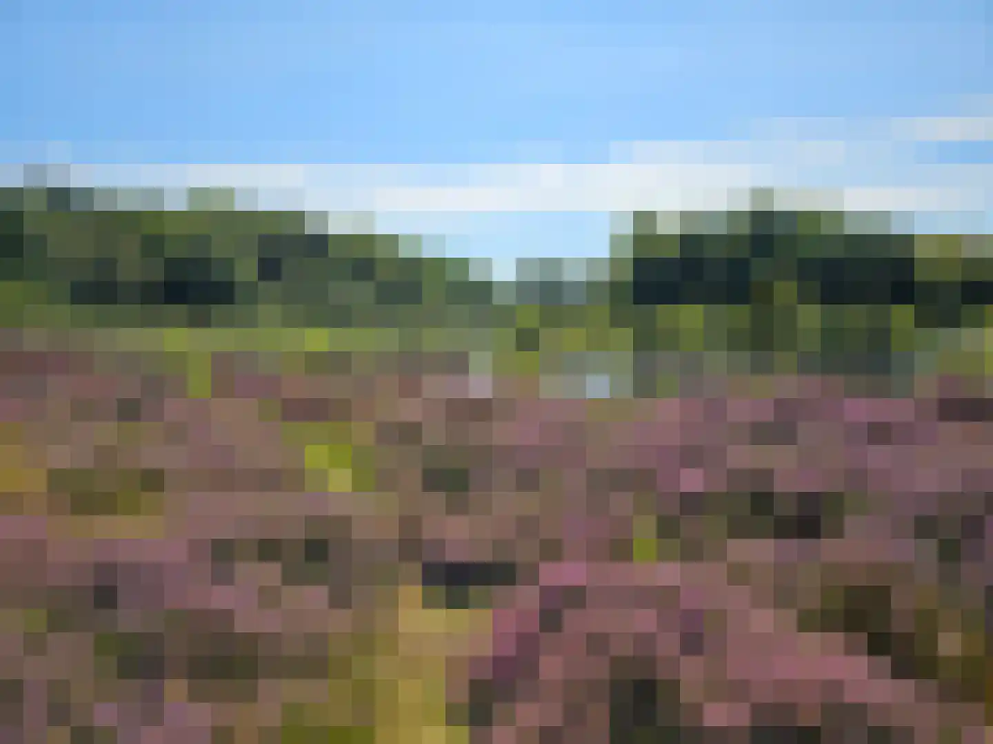 Langpaed 29 Siegerswoude thumbnail 45