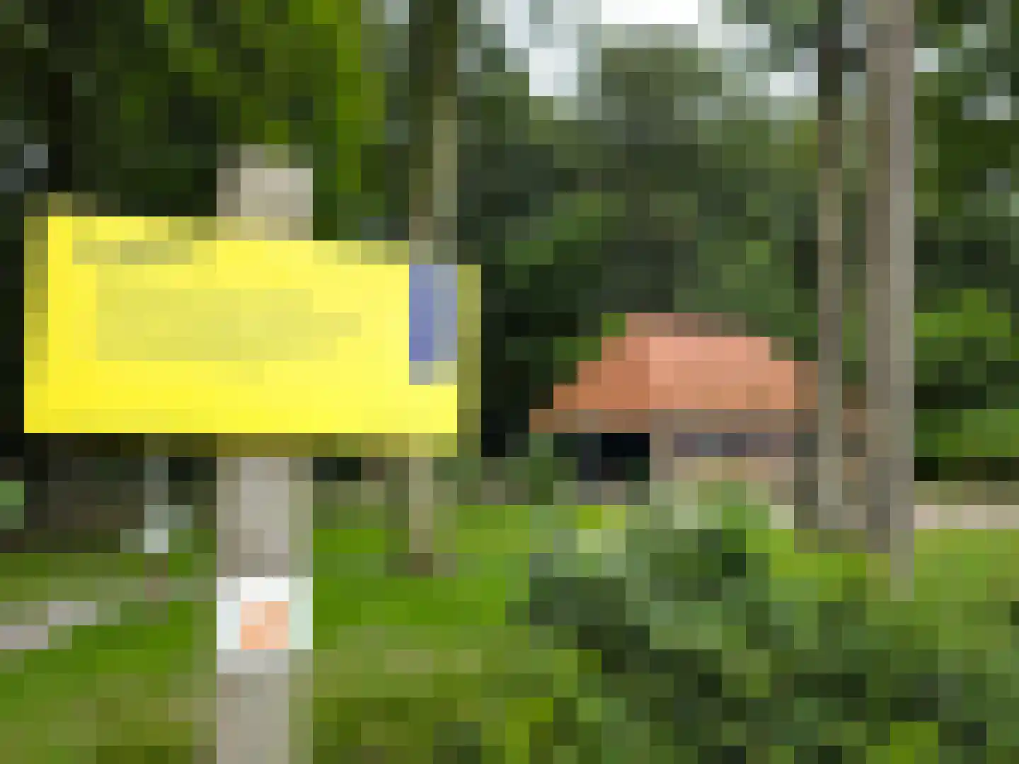 Langpaed 29 Siegerswoude thumbnail 46