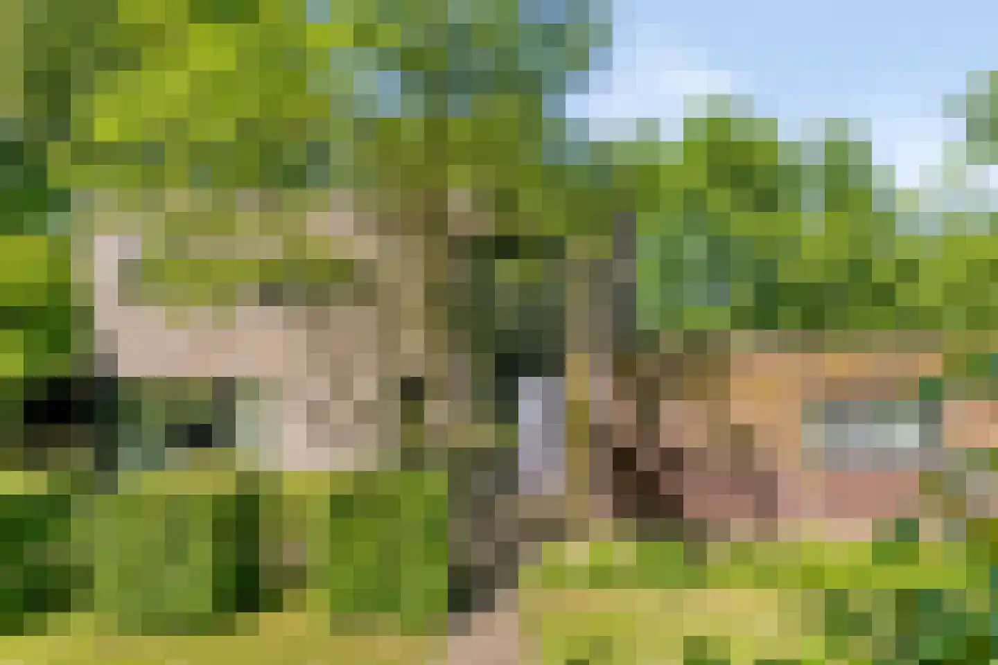 Langpaed 29 Siegerswoude thumbnail 5