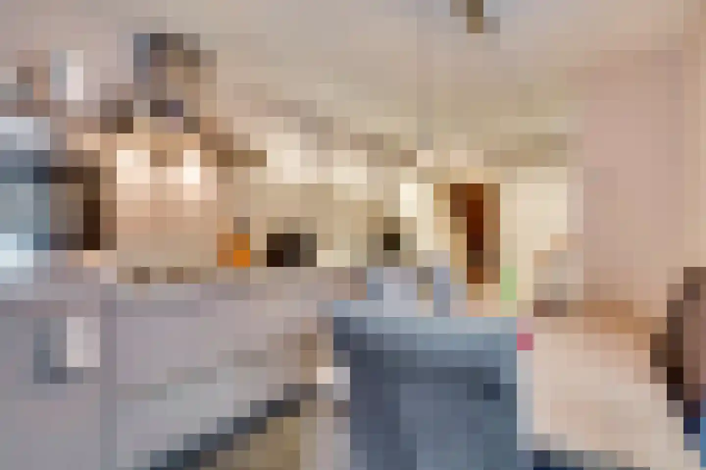 Langpoort 8 Weert thumbnail 13