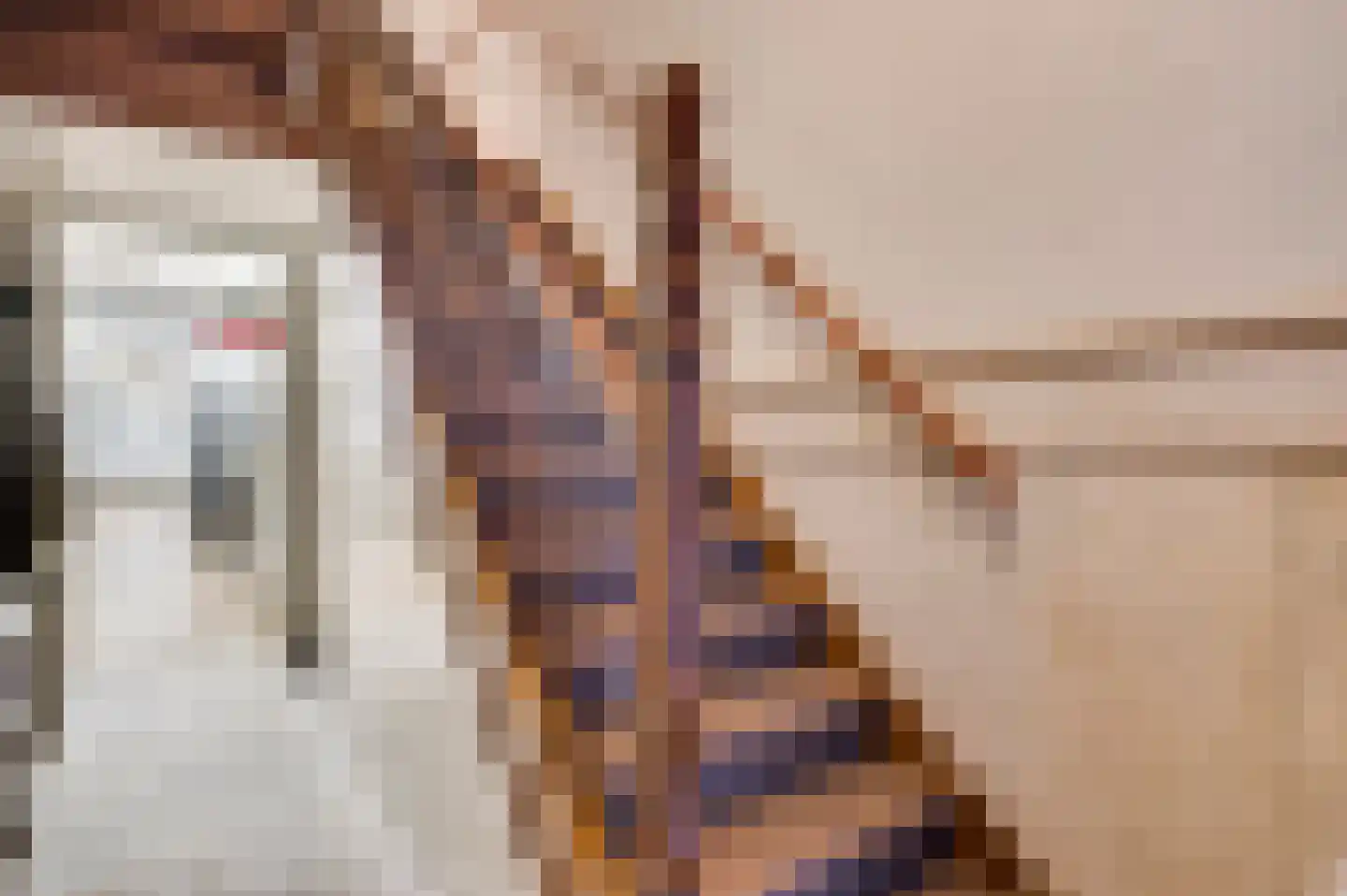 Langpoort 8 Weert thumbnail 6