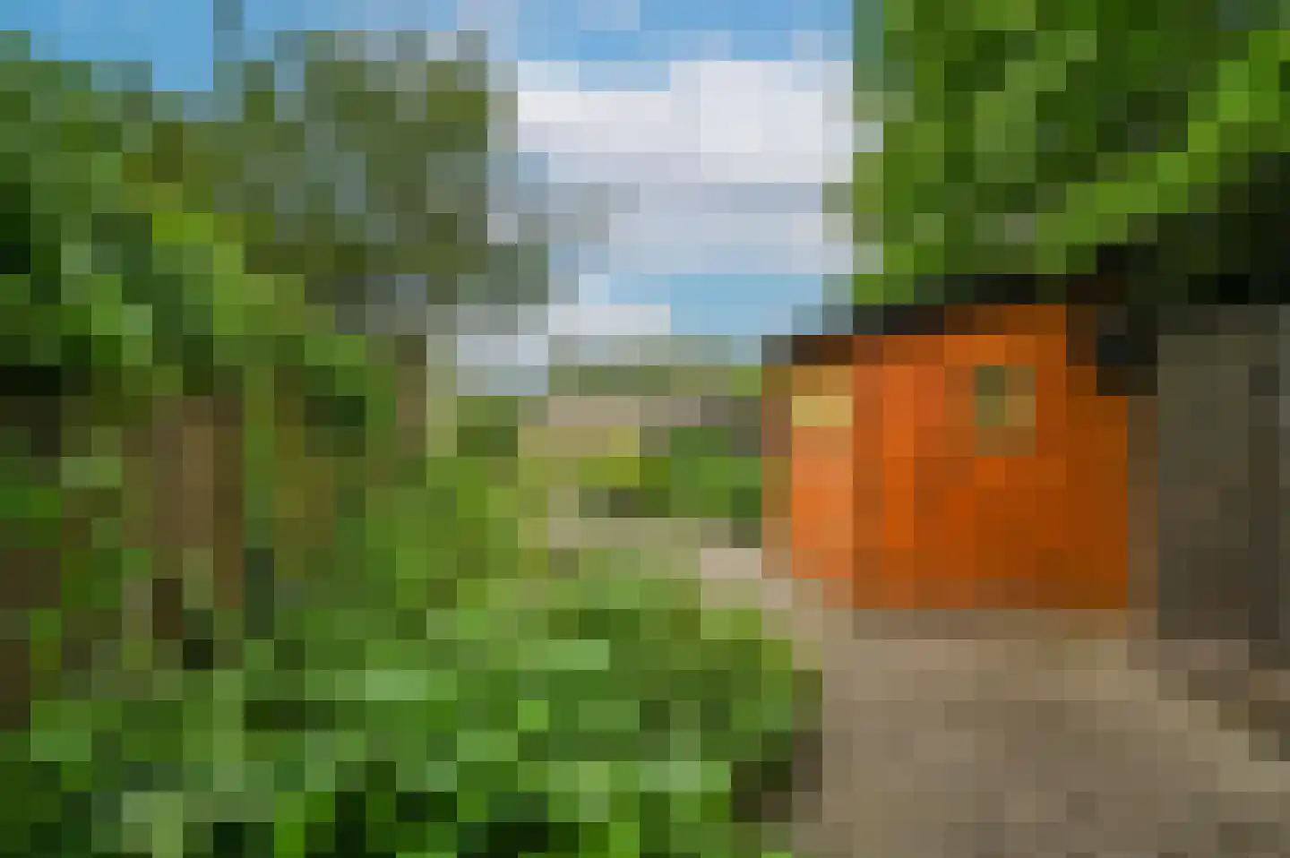 Langs de Baan 24 Uithoorn thumbnail 7