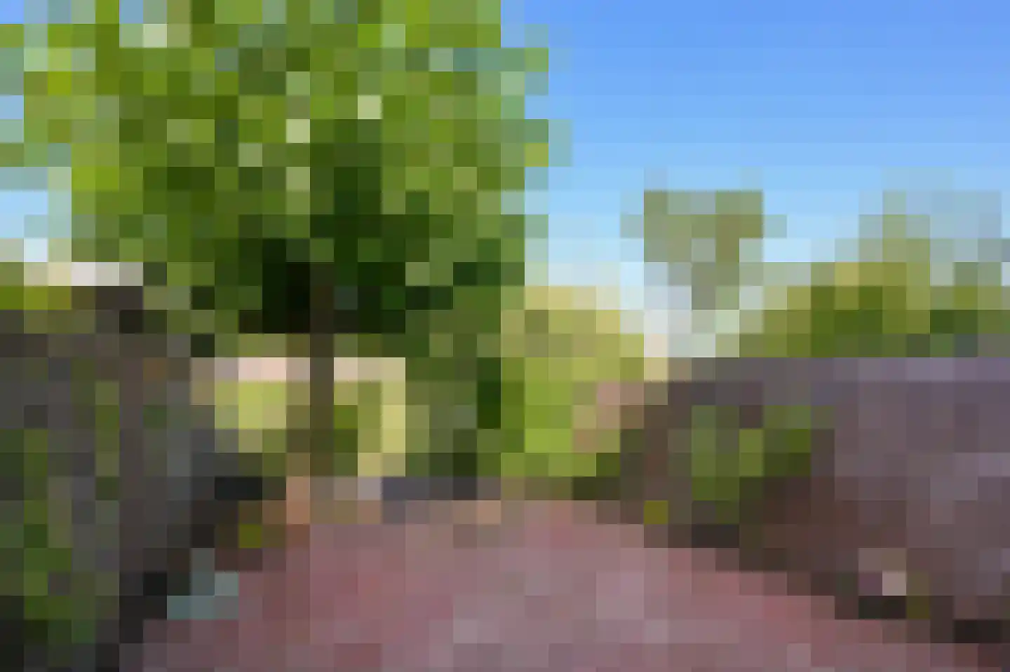 Langs de Baan 34 Uithoorn thumbnail 39