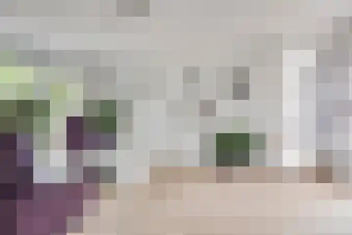 Langs de Beek 14 Roermond thumbnail 10