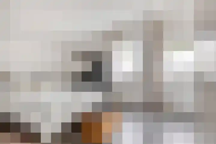 Langs de Beek 14 Roermond thumbnail 21