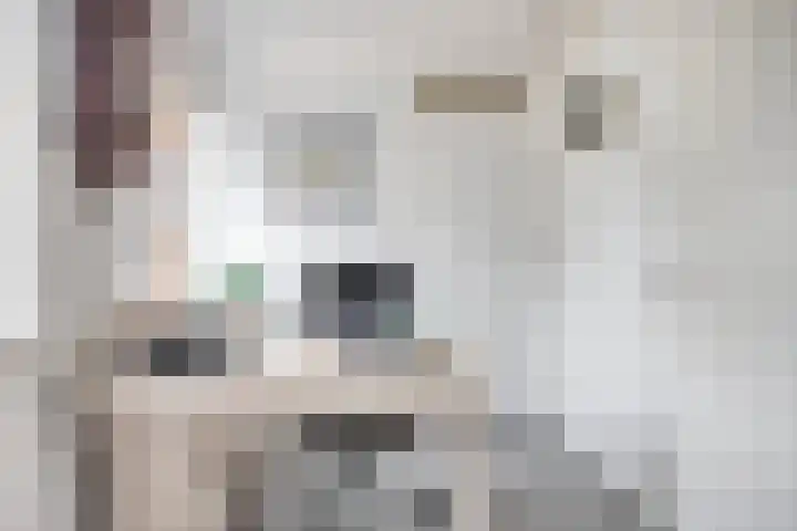 Langs de Beek 14 Roermond thumbnail 23