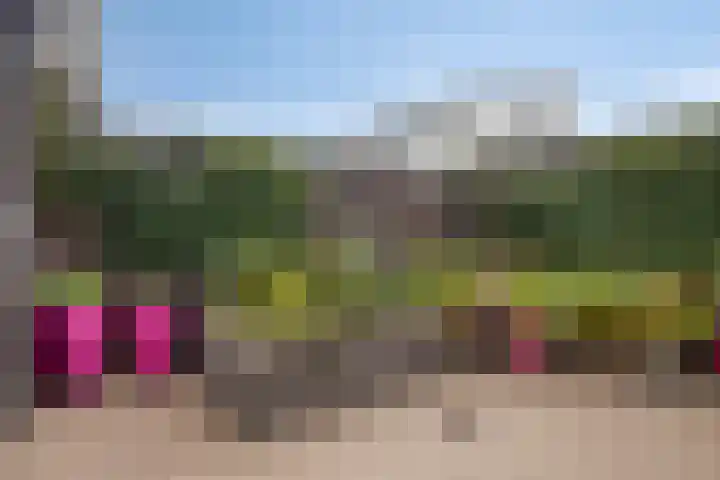 Langs de Beek 14 Roermond thumbnail 31
