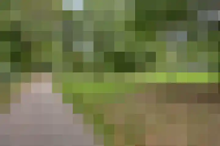 Langs de Beek 14 Roermond thumbnail 35