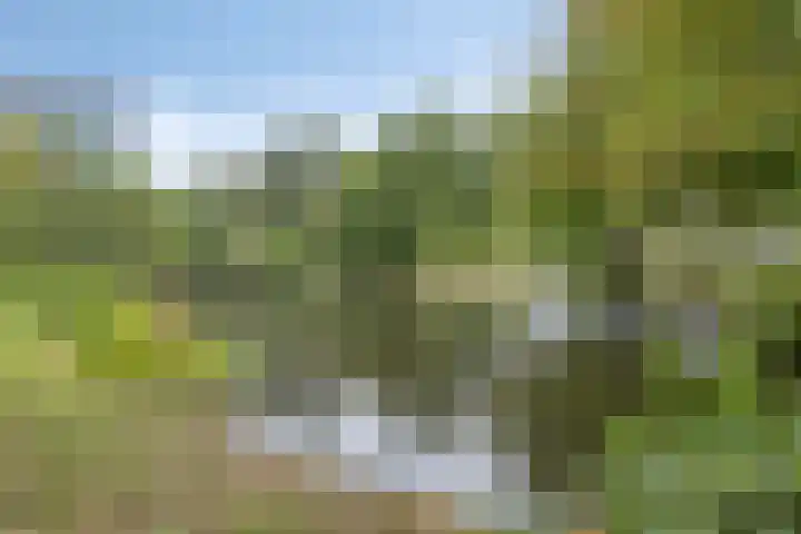 Langs de Beek 14 Roermond thumbnail 36