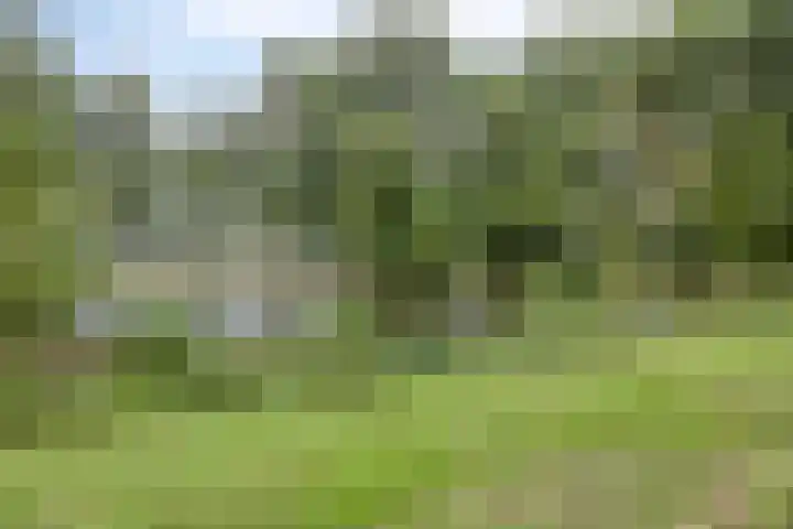 Langs de Beek 14 Roermond thumbnail 37