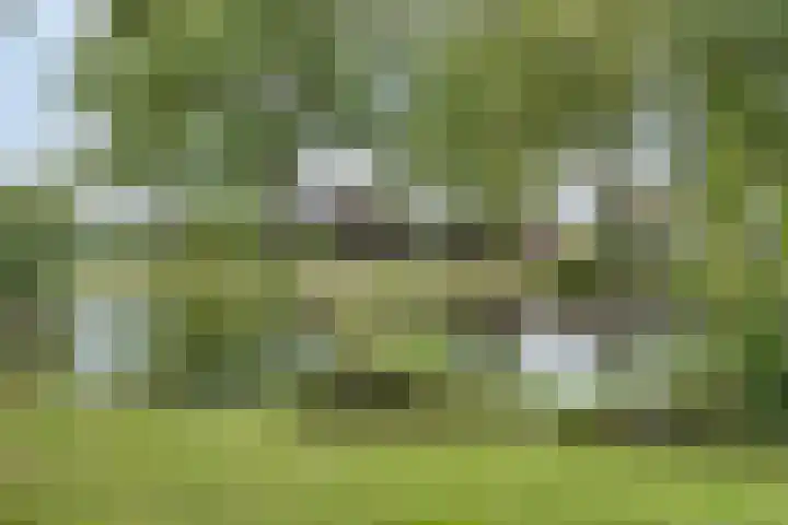 Langs de Beek 14 Roermond thumbnail 38