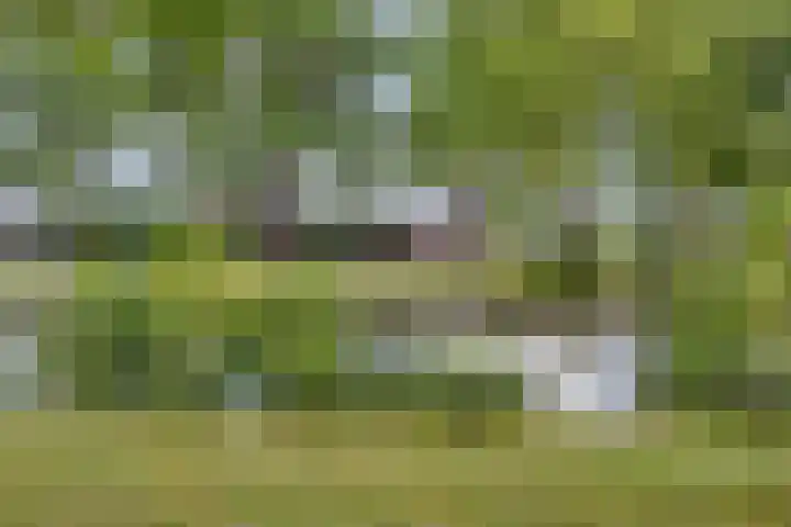 Langs de Beek 14 Roermond thumbnail 39