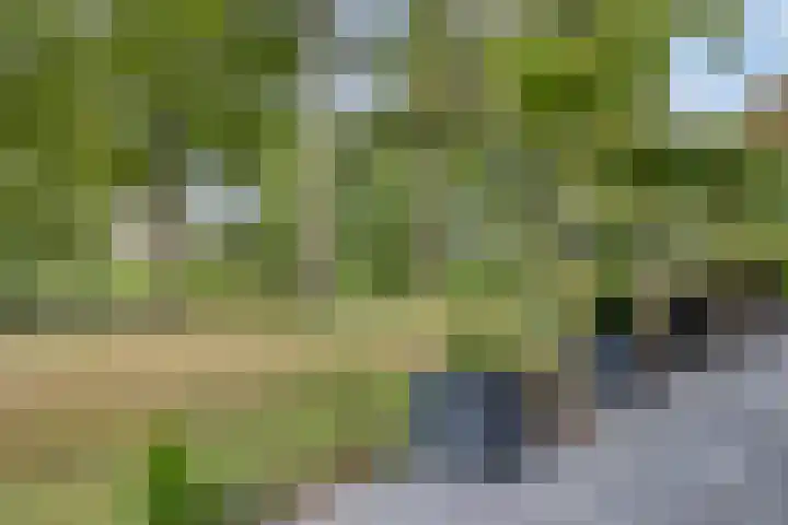 Langs de Beek 14 Roermond thumbnail 4