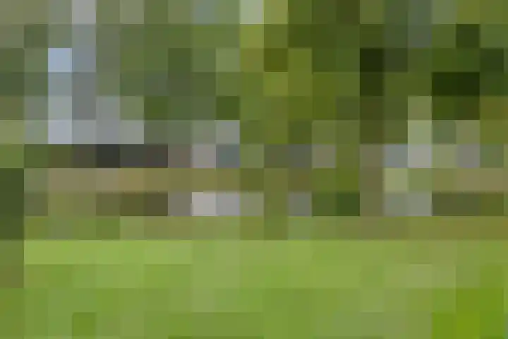 Langs de Beek 14 Roermond thumbnail 40