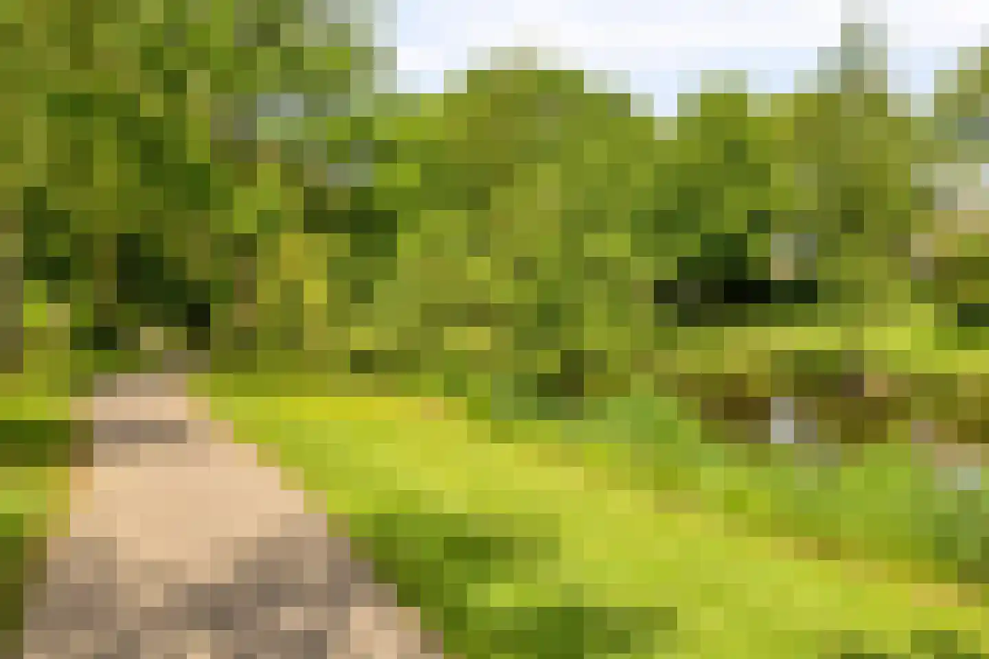 Langs de Beek 19 Roermond thumbnail 41