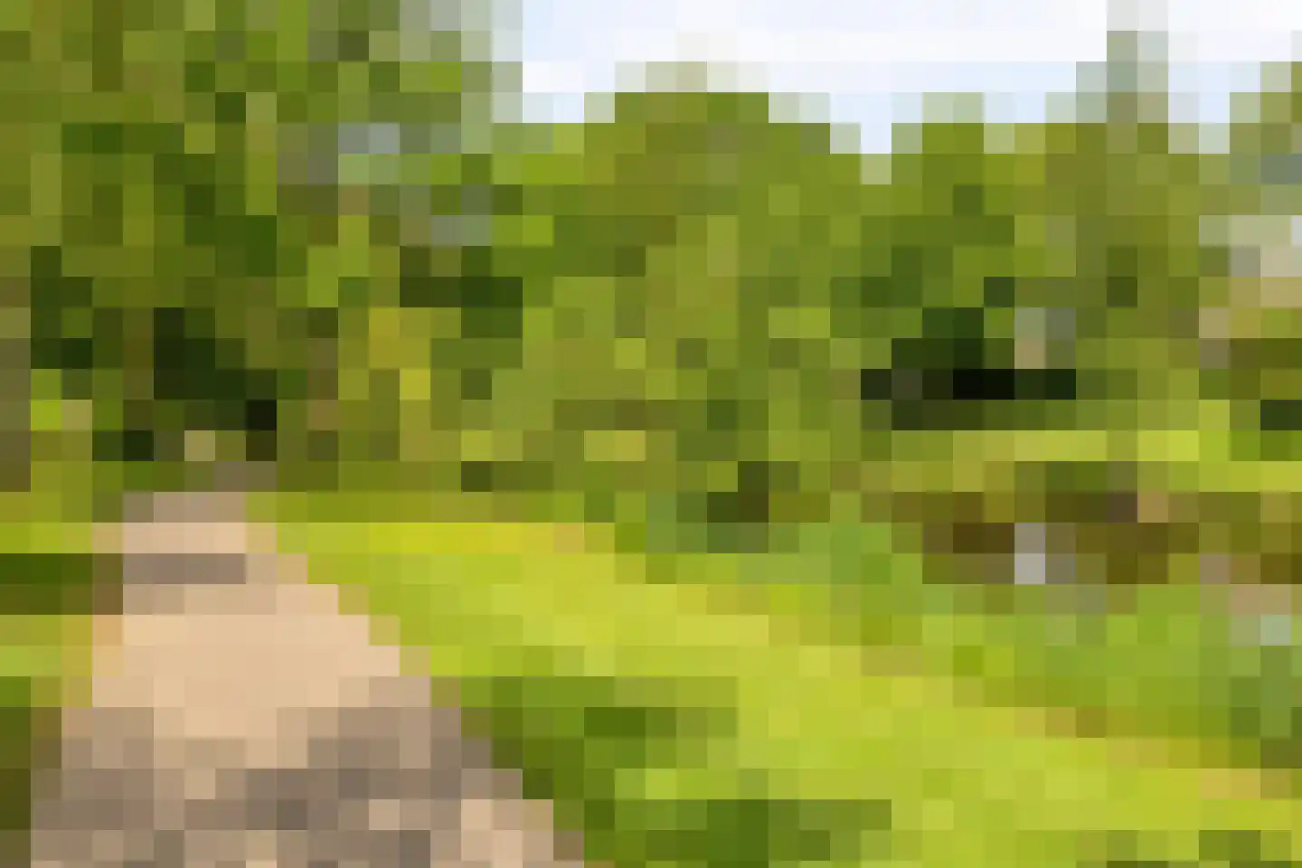 Langs de Beek 19 Roermond thumbnail 41