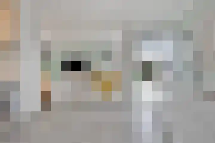 Langs de Beek 6 Roermond thumbnail 17