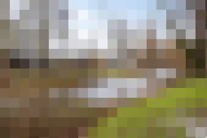 Langs de Beek 6 Roermond thumbnail 4