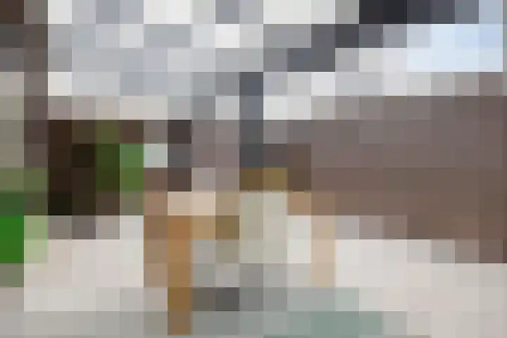 Langs de Beek 6 Roermond thumbnail 42