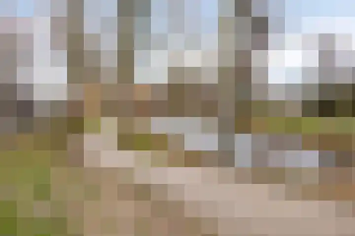 Langs de Beek 6 Roermond thumbnail 47