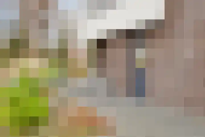 Langs de Beek 6 Roermond thumbnail 5