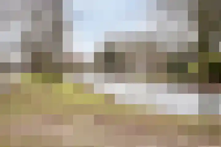Langs de Beek 6 Roermond thumbnail 50