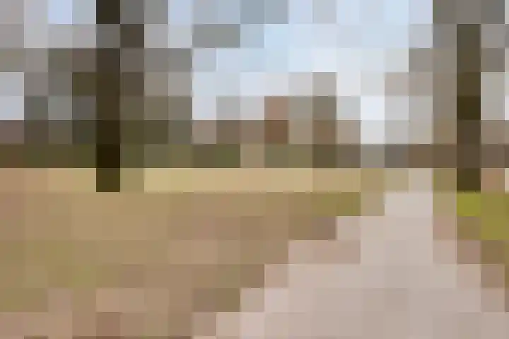 Langs de Beek 6 Roermond thumbnail 51