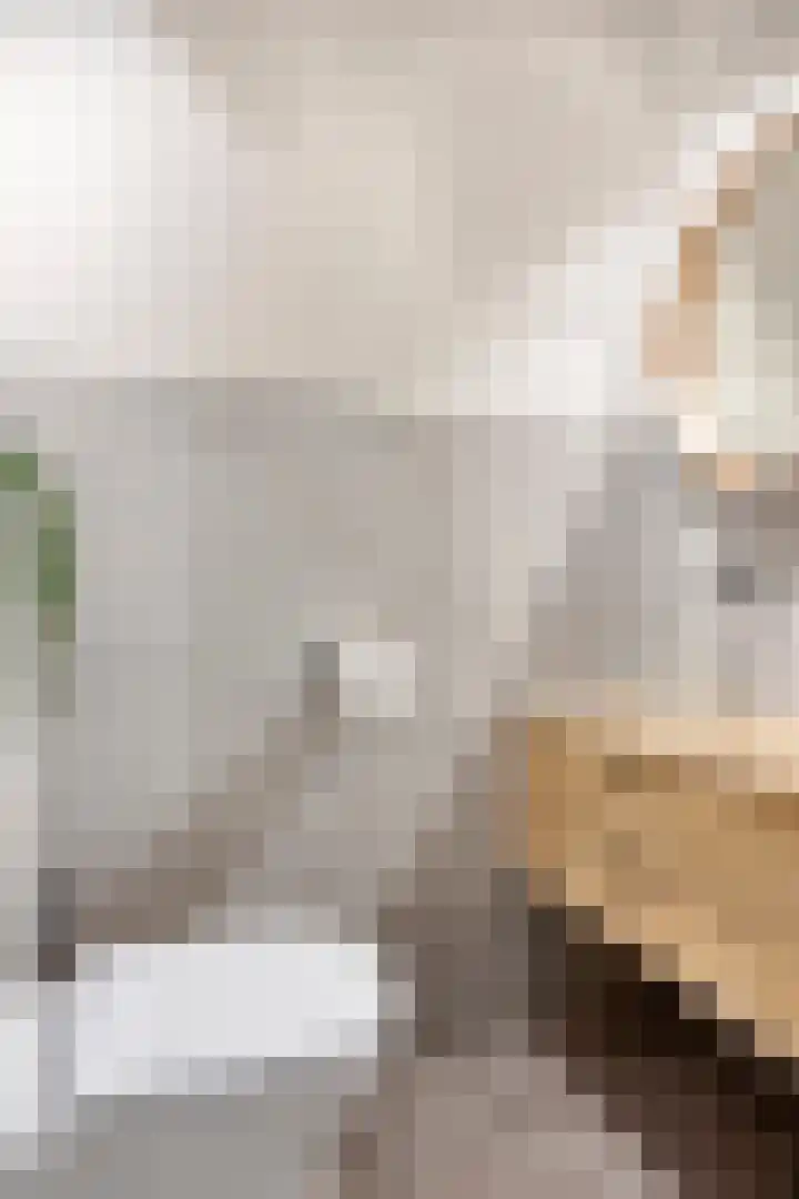 Langs de Beek 6 Roermond thumbnail 8