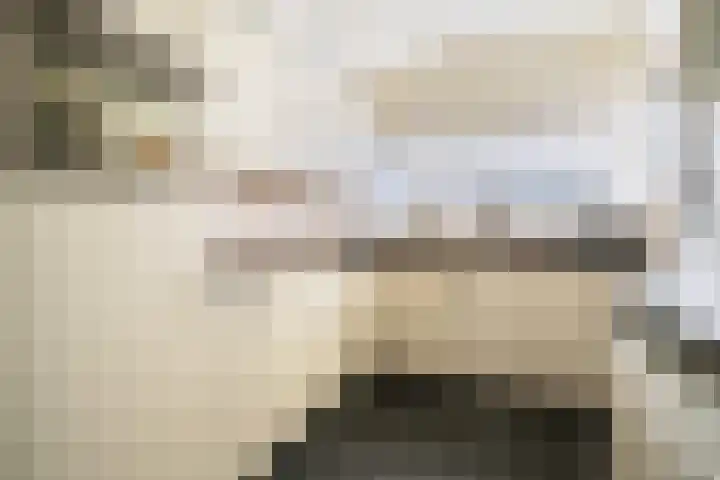 Langs de Bogen 24 Swifterbant thumbnail 13