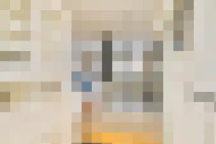 Langs de Bogen 24 Swifterbant thumbnail 14
