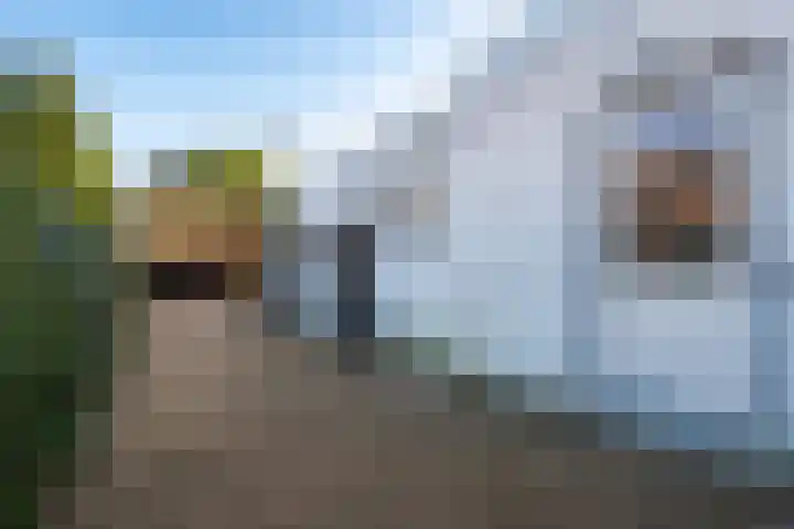 Langs de Bogen 24 Swifterbant thumbnail 26