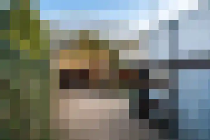 Langs de Bogen 24 Swifterbant thumbnail 27
