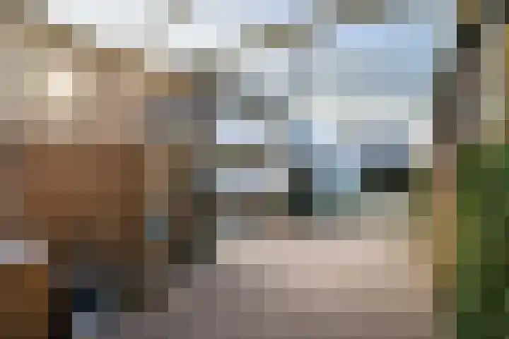 Langs de Bogen 24 Swifterbant thumbnail 28