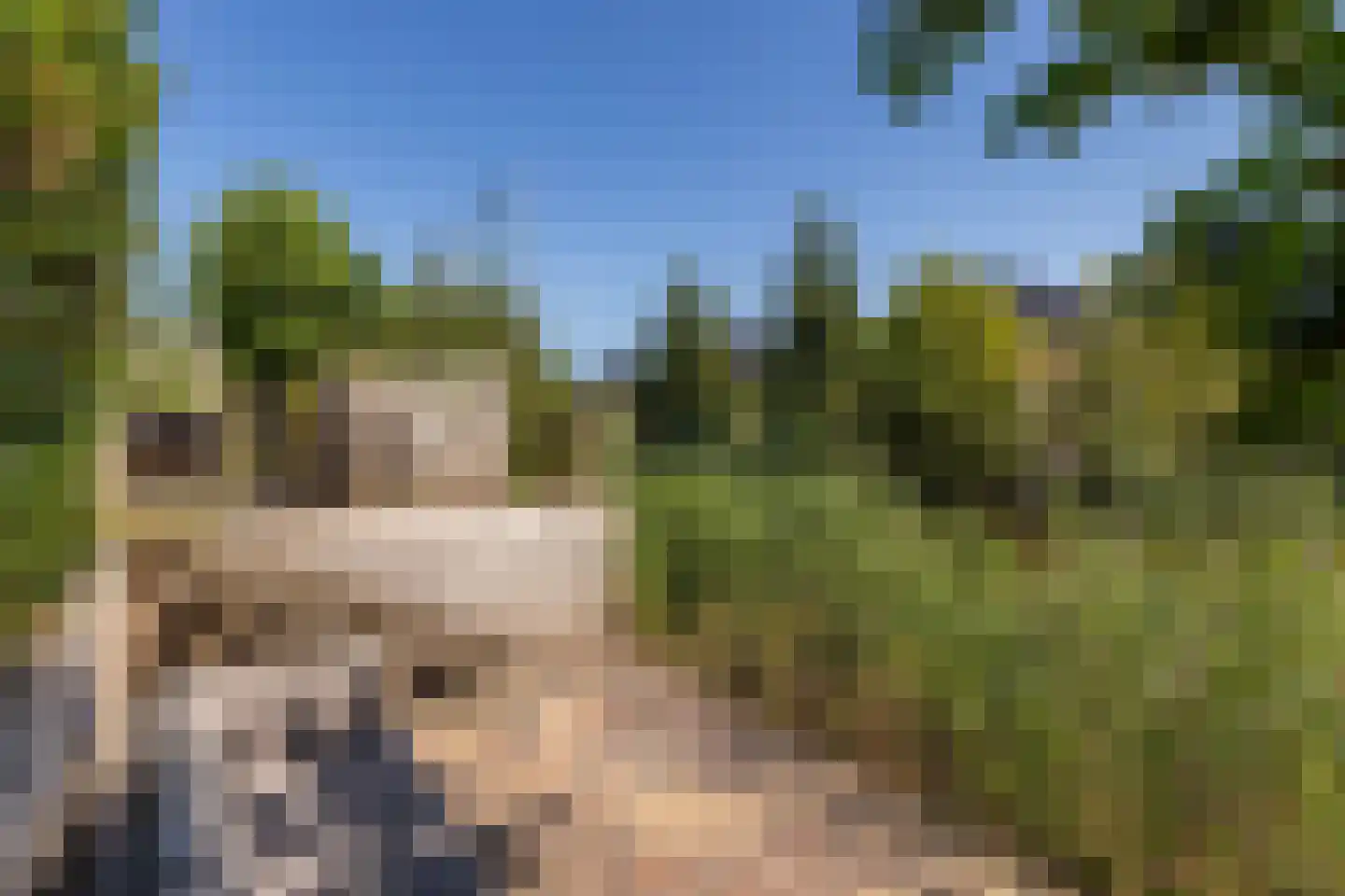 Langs de erven 238 Meerstad thumbnail 40