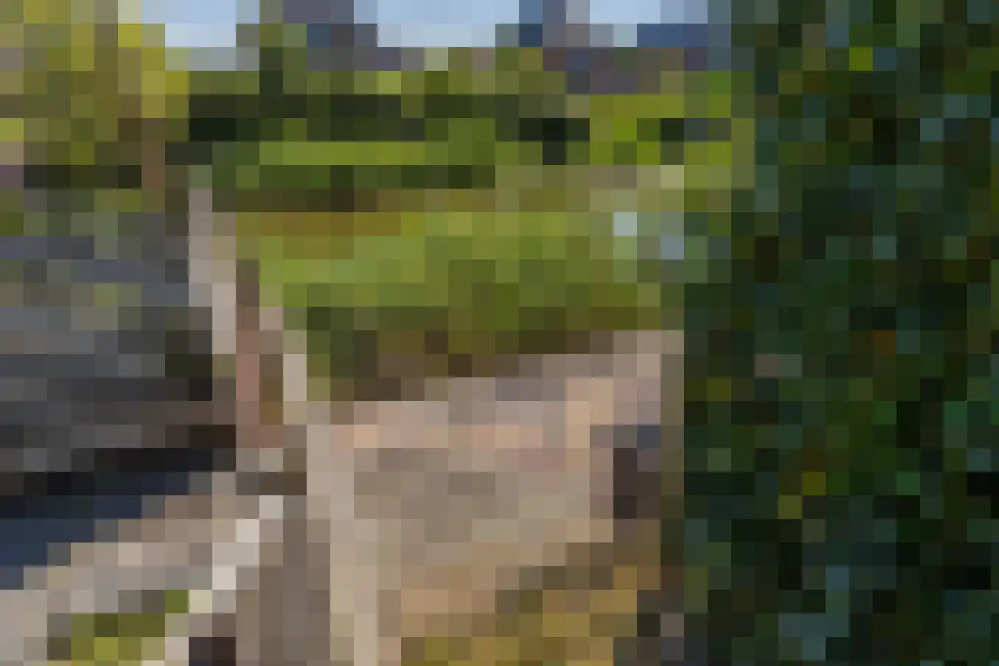 Langs de erven 238 Meerstad thumbnail 42