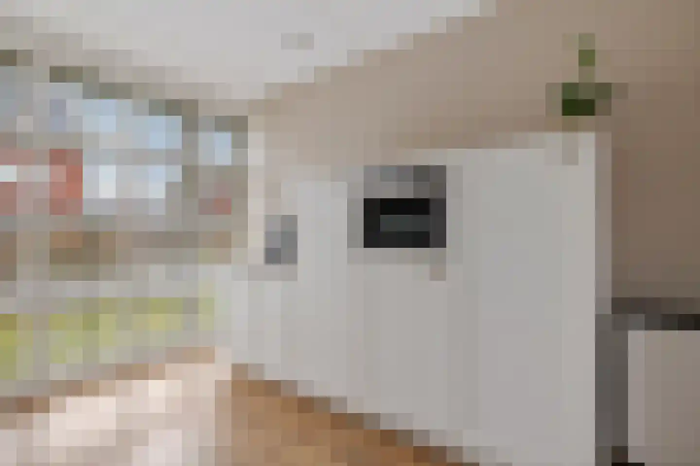 Langs de erven 244 Meerstad thumbnail 17