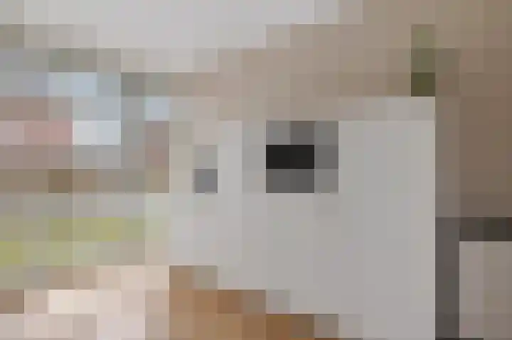 Langs de erven 244 Meerstad thumbnail 17