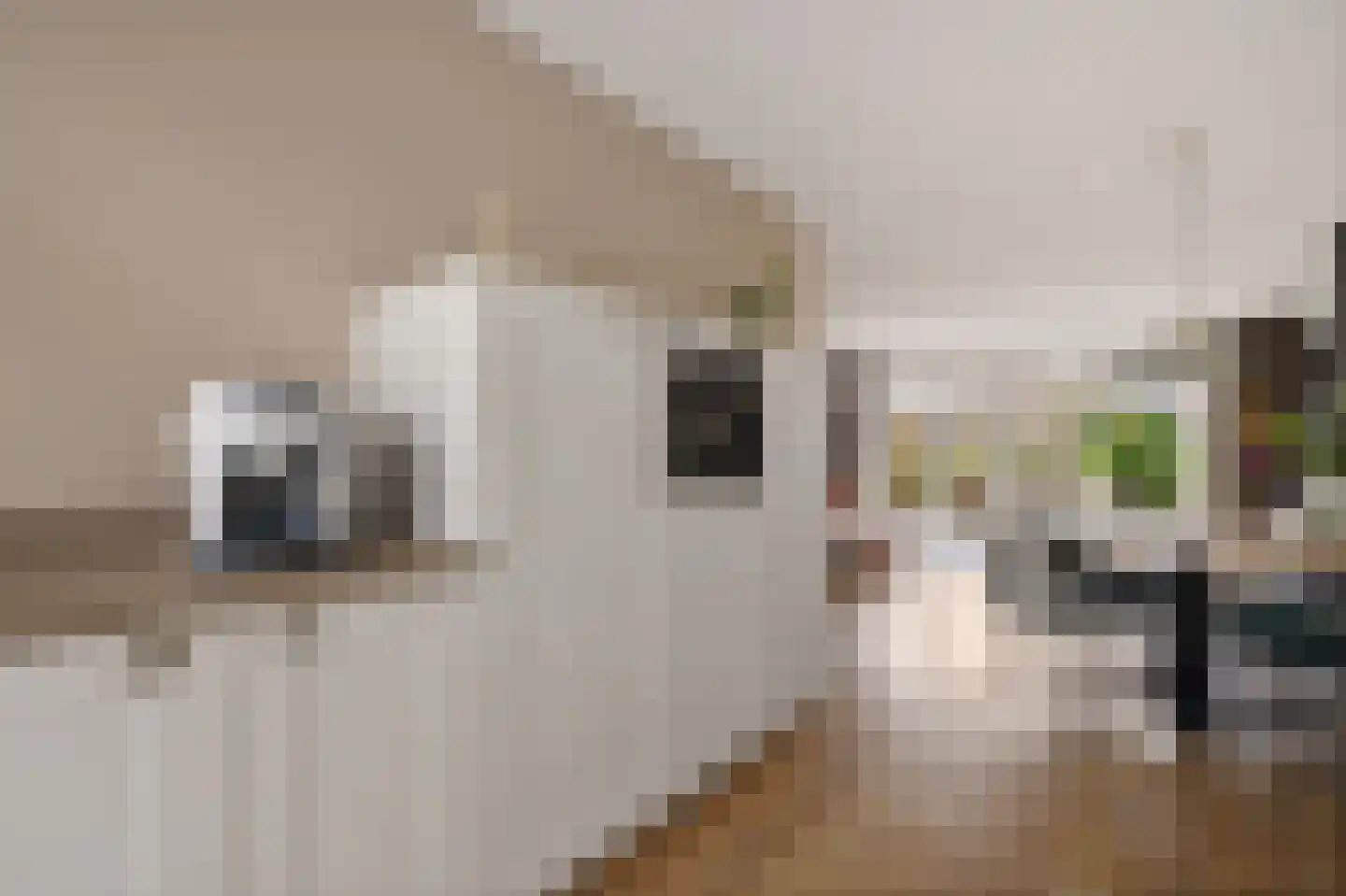 Langs de erven 244 Meerstad thumbnail 18