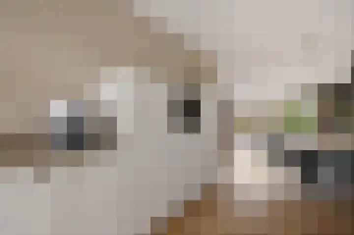 Langs de erven 244 Meerstad thumbnail 18