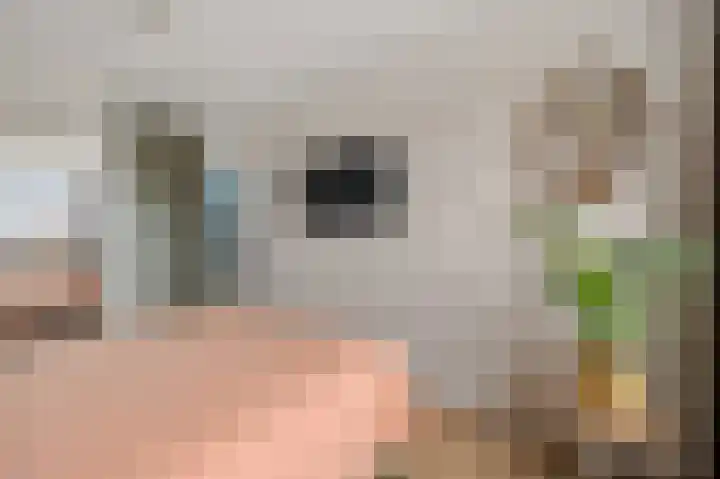 Langs de erven 244 Meerstad thumbnail 32